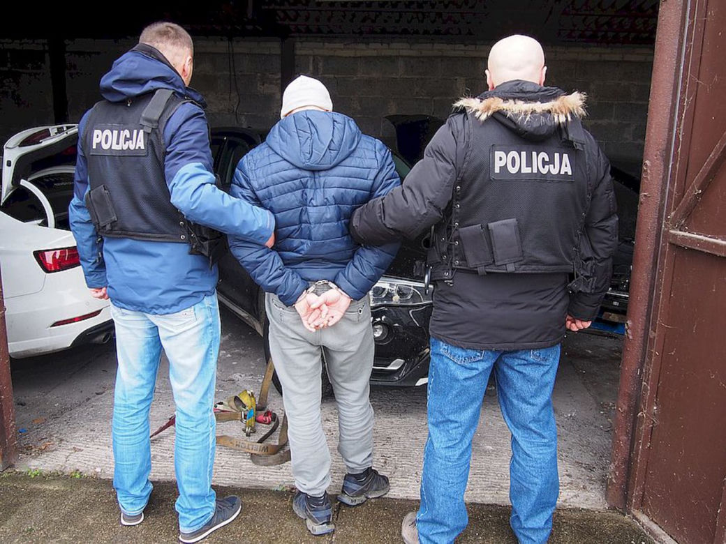 Luksusowe auta w dziupli