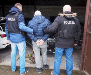 Luksusowe auta w dziupli