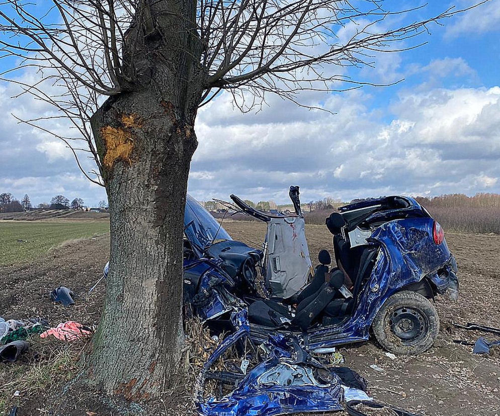 KOSZMAR na drodze w Łódzkiem. Osobówka OWINĘŁA SIĘ WOKÓŁ DRZEWA. Nie żyje 21-latek 