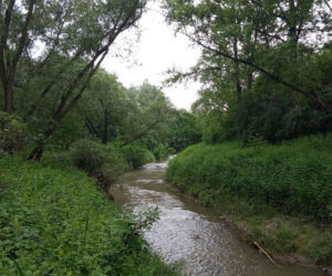 Park Rzeczny Wilga