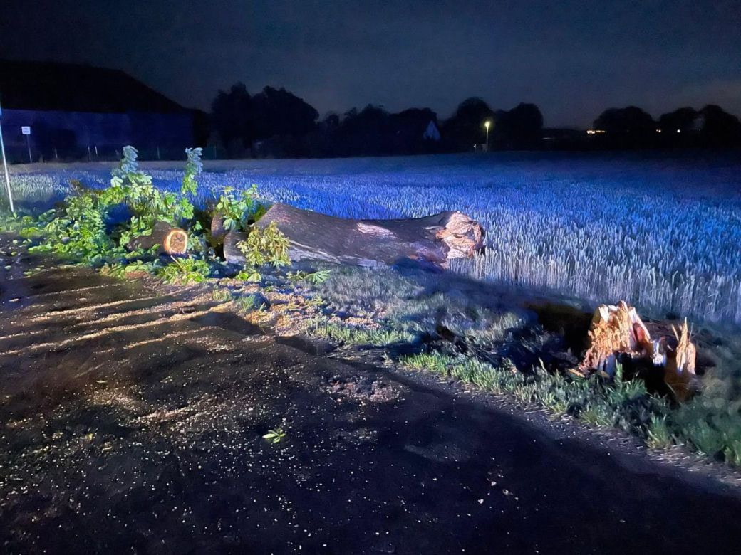 Blisko 300 interwencji strażaków po nocnych burzach. Dolny Śląsk walczy ze skutkami nawałnic
