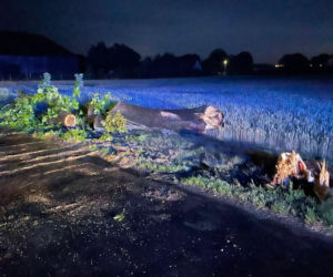 Blisko 300 interwencji strażaków po nocnych burzach. Dolny Śląsk walczy ze skutkami nawałnic