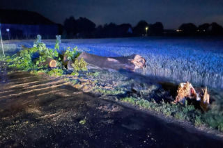 Blisko 300 interwencji strażaków po nocnych burzach. Dolny Śląsk walczy ze skutkami nawałnic