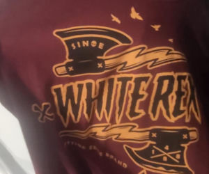 Zatrzymano dwóch skinheadów podejrzanych o podpalenia. Szokujące, co znaleziono w ich domach