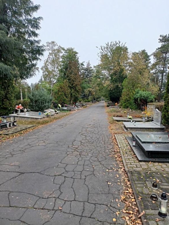 Cmentarz Junikowo Poznań