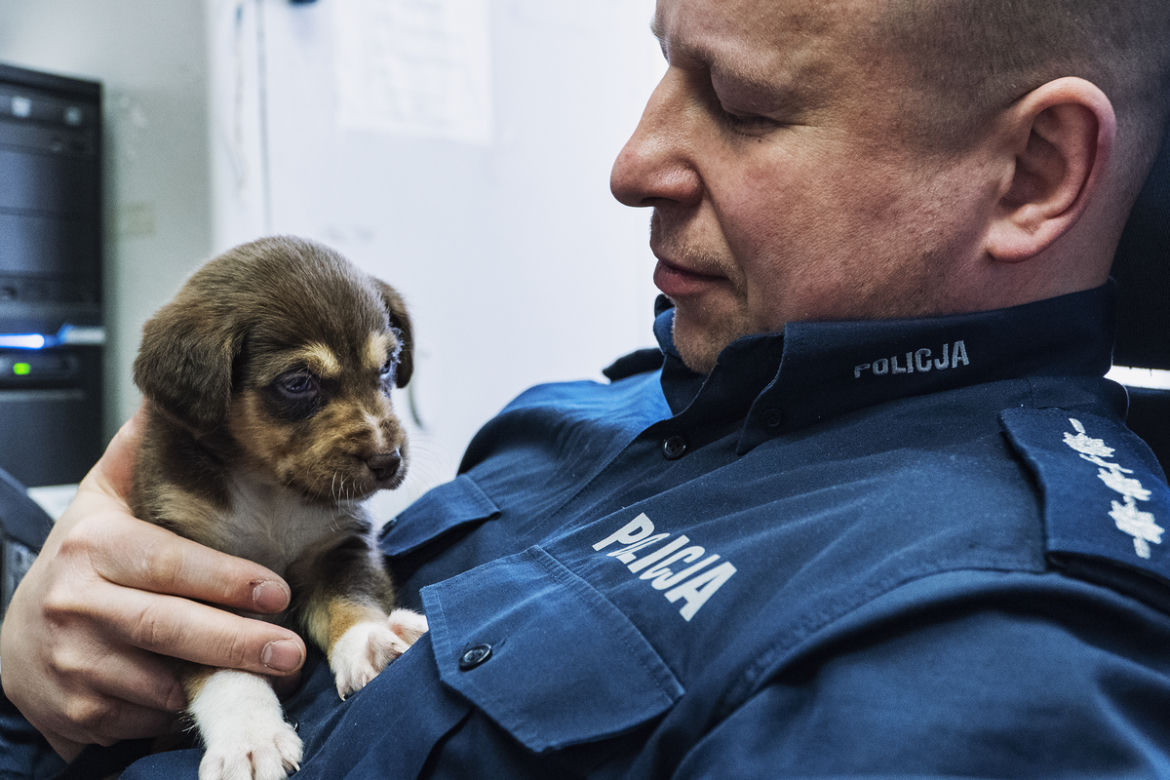 Maleńkie szczeniaczki były bliskie śmierci. Policjanci z Nowego Dworu Gdańskiego pokazali wielkie serca