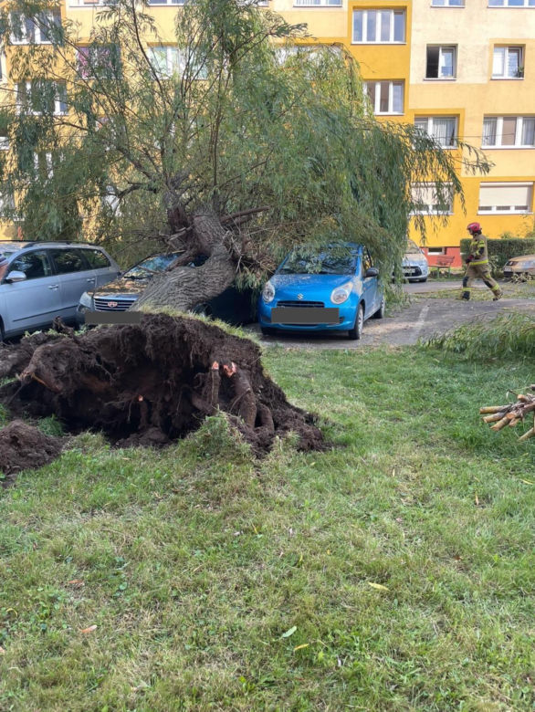 Gwałtowna burza nad Dolnym Śląskiem. Gradobicie, ulewa i mnóstwo zniszczeń