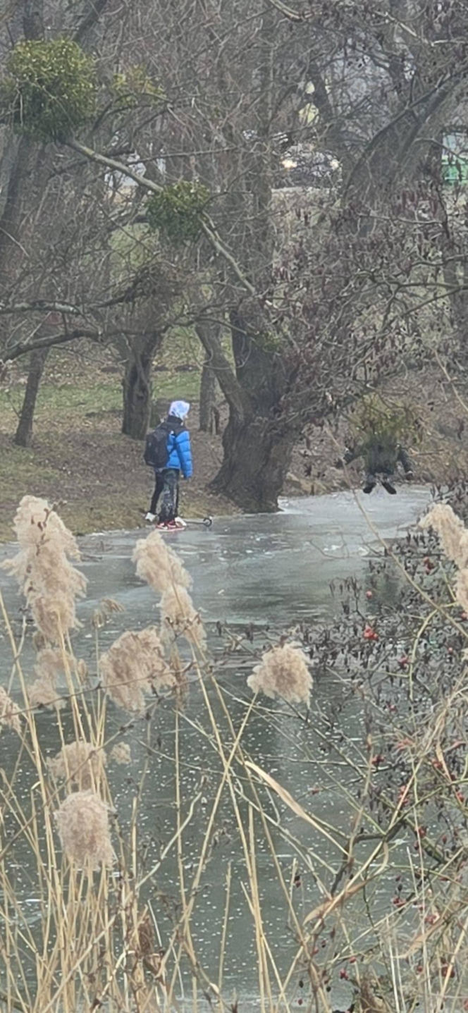 Dramat na rzece we Wrocławiu. Pod chłopcem załamał się lód