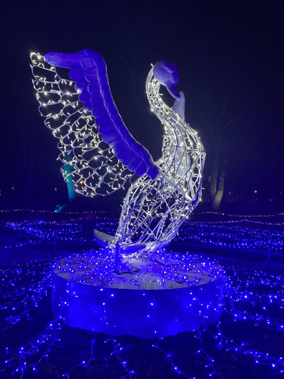Spacer po wystawie Magiczny Botaniczny 2024/2025