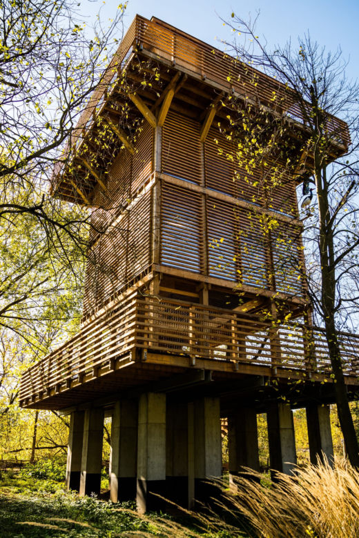 Park Dolina Wkry w Pomiechówku - spacer w koronach drzew, place zabaw, plaża