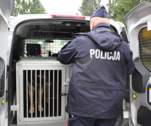 Lewa broń u rusznikarza