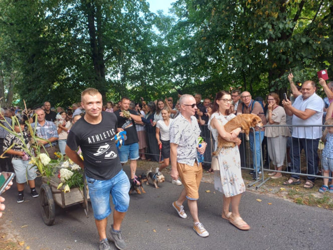 Święcenie zwierząt u św. Rocha 2026