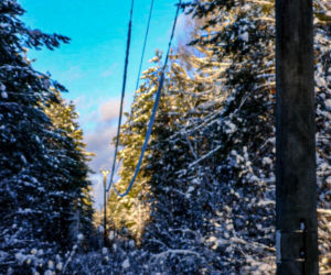 Atak zimy w Elblągu