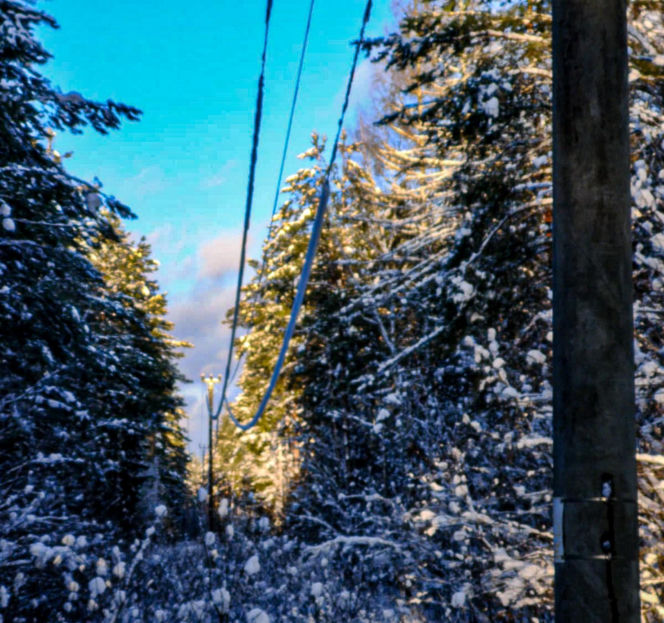 Atak zimy w Elblągu