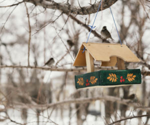 Zapytaliśmy AI o najbardziej świąteczną nazwę wsi na Podkarpaciu. Nie miała wątpliwości