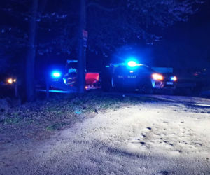 Strażacy uratowali mężczyznę tonącego w jeziorze