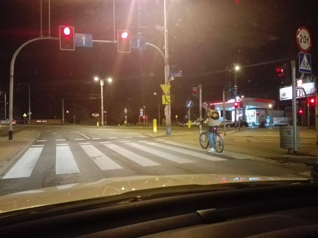 Wrocławskie jelenie rowerowe