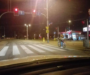 Wrocławskie jelenie rowerowe