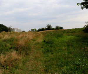 Nowy park na Ursynowie 