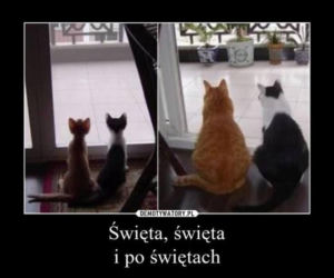 Memy na święta 2018