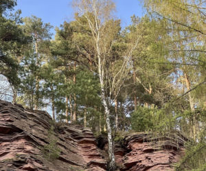 Polska Arizona tuż pod Kielcami