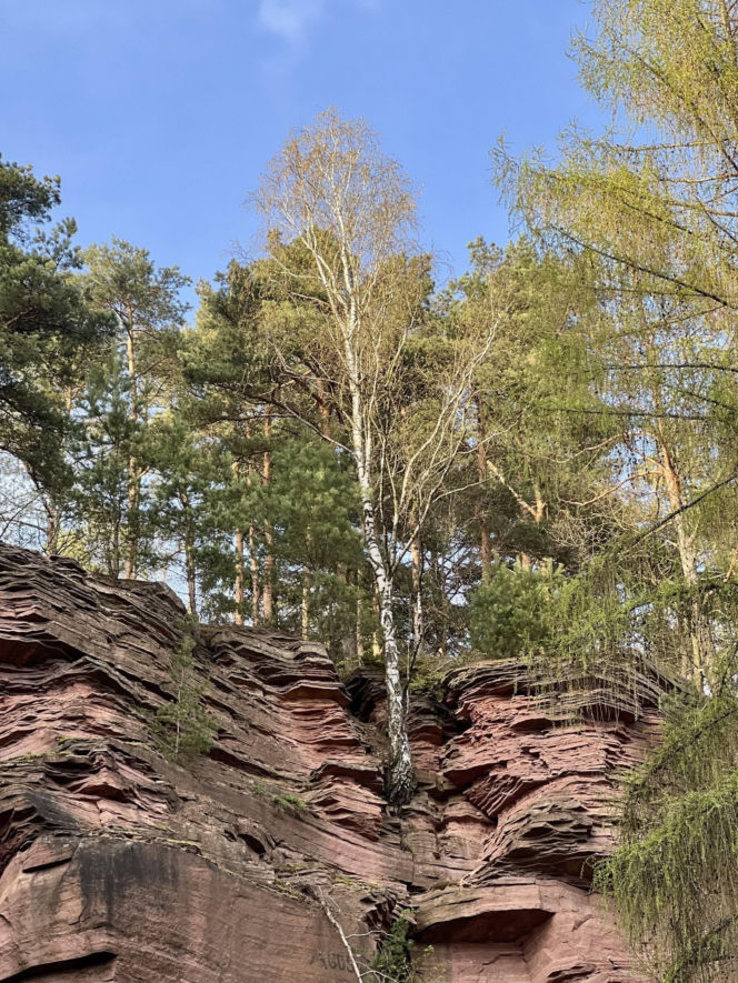 Polska Arizona tuż pod Kielcami