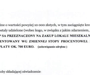 Jacek Karnowski i jego majątek
