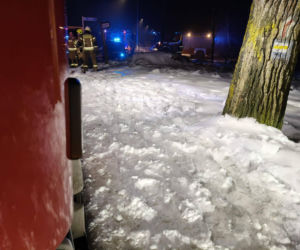 Kobieta spadła ze skarpy przy platformie widokowej. Dramatyczna akcja ratunkowa! [ZDJĘCIA]