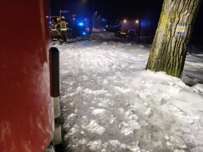 Kobieta spadła ze skarpy przy platformie widokowej. Dramatyczna akcja ratunkowa! [ZDJĘCIA]