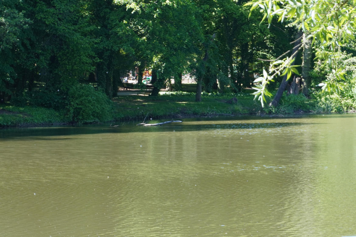 Park Sołacki w maju 2024