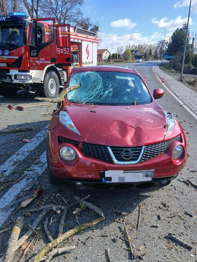 Drzewo spadło na jadące auto! Część gałęzi wbiła się w pojazd