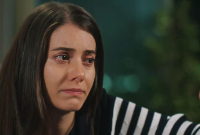 Złoty chłopak odc. 261