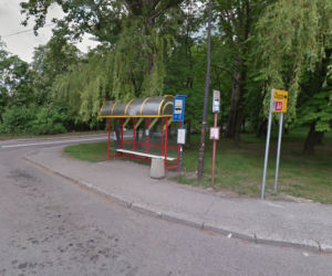 Wilcze Gardło Pętla (Gliwice)