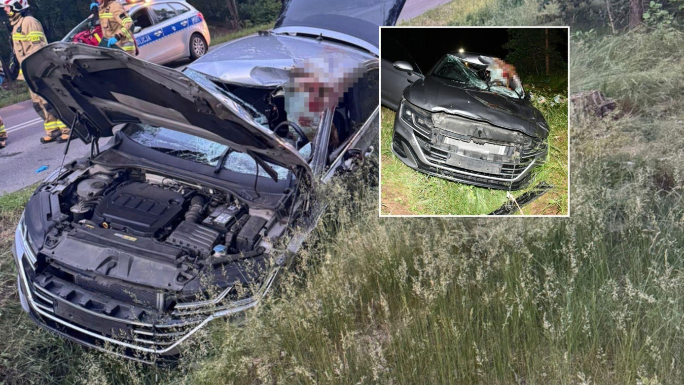 Kilkusetkilogramowy zwierz wbił się w auto 44-letniego Warszawiaka