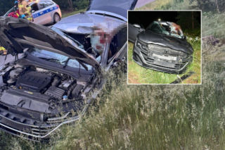 Kilkusetkilogramowy zwierz wbił się w auto 44-letniego Warszawiaka! Drogowy horror na Mazowszu