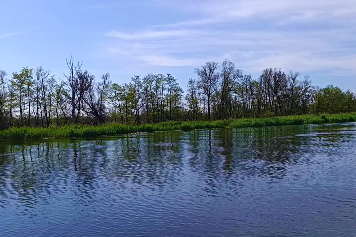 Dolina Dolnej Odry