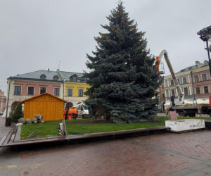 Bajkowa instalacja przed zamojski ratuszem