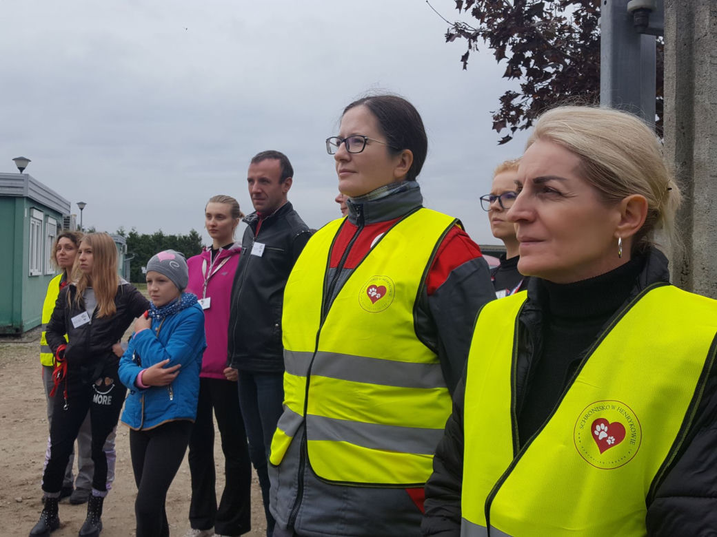 ​Szczeniak i kot znalazły nowy dom. To pierwsze efekty sobotniej akcji "Bieg + 4 Łapy" koło Leszna
