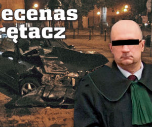 Mecenas  krętacz
