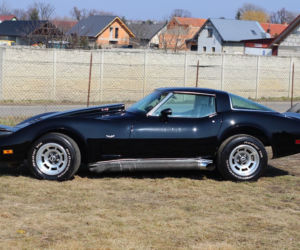 Chevrolet Corvette C3 Kamila Bednarka