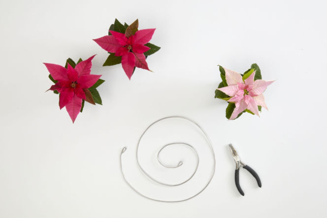 Gwiazda betlejemska – świąteczna zawieszka DIY