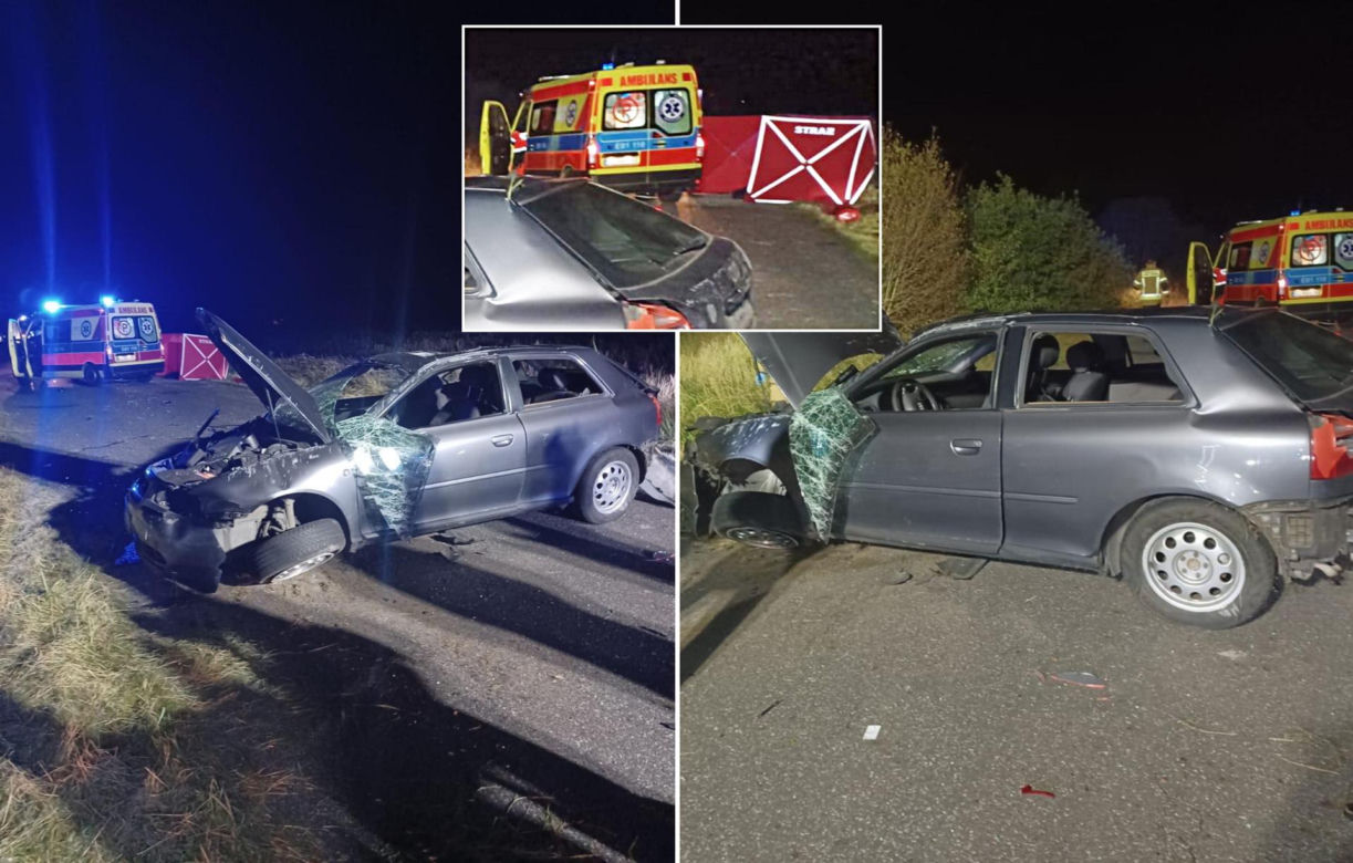 Śmiertelny wypadek pod Bełchatowem. 36-letek zderzył się z sarną [ZDJĘCIA].