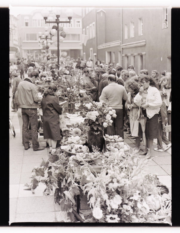 Winobranie w Zielonej Górze w latach 1963-1973. Oto jak bawiono się podczas największego Święta Wina w Polsce