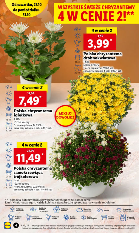 Znicze  i chryzantemy w Lidlu od 27.10