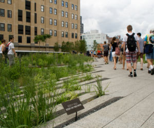 High Line