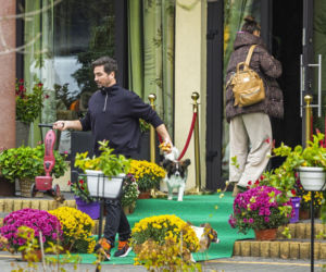 Dominika Serowska, ukochana Hakiela kpi z wesela ze schabowym