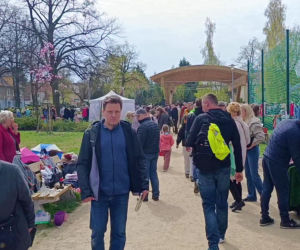 Pchli targ na Pogodnie