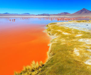 Laguna Colorada Jezioro w Boliwii
