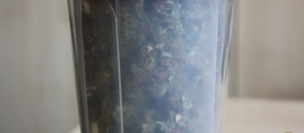 Marihuana w bidonie