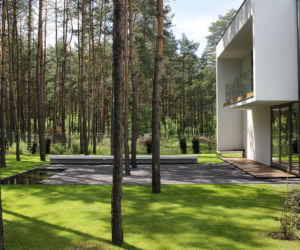 Ogród leśny